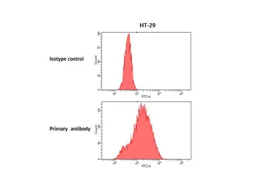Anti-SSTR5 antibody [HL4132] used in Flow cytometry (FCM). GTX642937
