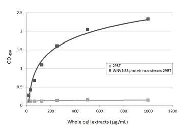 Anti-West Nile virus NS3 protein antibody [HL4682] used in ELISA (ELISA). GTX644683