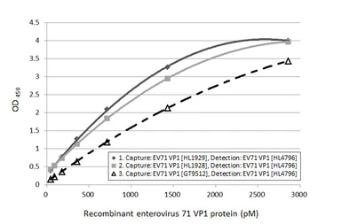 Anti-Enterovirus 71 VP1 antibody [HL4796] used in ELISA (ELISA). GTX644808