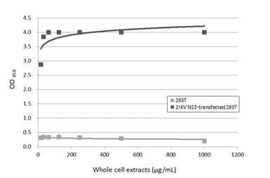 Anti-Zika virus NS3 protein antibody [HL4975] used in ELISA (ELISA). GTX645061