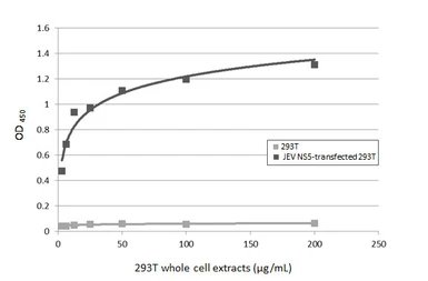 Anti-Japanese encephalitis virus NS5 antibody [HL5380] used in ELISA (ELISA). GTX645948