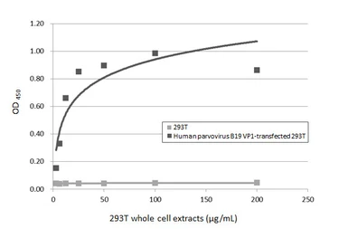 Anti-Human parvovirus B19 VP1 antibody [HL5827] used in ELISA (ELISA). GTX647145