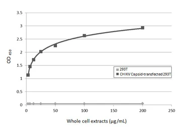 Anti-Chikungunya virus Capsid antibody [HL6530] used in ELISA (ELISA). GTX648986