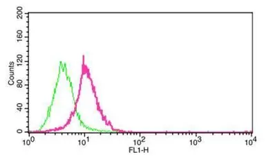 Anti-Carbonic Anhydrase IX antibody [GT12] used in Flow cytometry (FCM). GTX70020