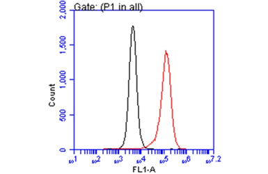 Anti-TSG101 antibody [4A10] used in Flow cytometry (FCM). GTX70255