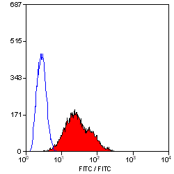 Anti-CD28 antibody [JJ319] (FITC) used in Flow cytometry (FCM). GTX74892