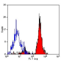 Anti-CD151 antibody [11G5a] used in Flow cytometry (FCM). GTX75456