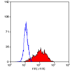 Anti-IL2 Receptor alpha antibody [MRC OX-39] (FITC) used in Flow cytometry (FCM). GTX76047