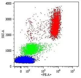 Anti-CD16 antibody [MEM-154] (PE) used in Flow cytometry (FCM). GTX79998