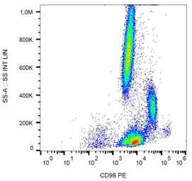 Anti-CD98 antibody [MEM-108] (PE) used in Flow cytometry (FCM). GTX80023