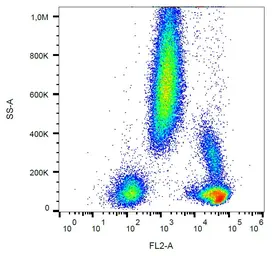 Anti-CD48 antibody [MEM-102] (PE) used in Flow cytometry (FCM). GTX80025