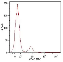 Anti-CD40 antibody [HI40a] (FITC) used in Flow cytometry (FCM). GTX80131