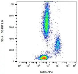 Anti-CD86 antibody [BU63] (APC) used in Flow cytometry (FCM). GTX80210