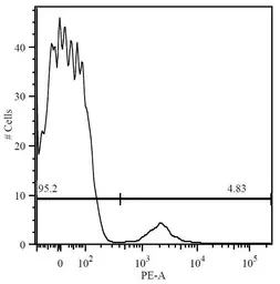 Anti-CD19 antibody [4G7] used in Flow cytometry (FCM). GTX80276
