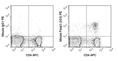 Anti-FOXP3 antibody [3G3] (PE) used in Flow cytometry (FCM). GTX80284
