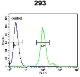 Anti-Factor B (Bb fragment) antibody, Internal used in Flow cytometry (FCM). GTX80605