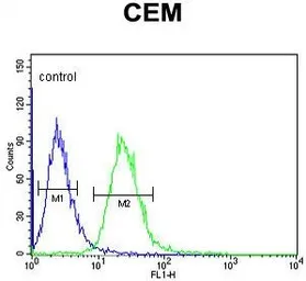 Anti-EDIL3 antibody, Internal used in Flow cytometry (FCM). GTX80621