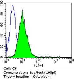 Anti-Dynein antibody [74.1] used in Flow cytometry (FCM). GTX80684
