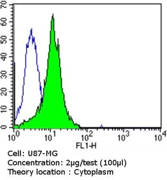 Anti-Dynein antibody [74.1] used in Flow cytometry (FCM). GTX80684