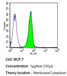Anti-Her4 / ErbB4 antibody [HFR1] used in Flow cytometry (FCM). GTX80811