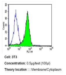 Anti-Her4 / ErbB4 antibody [HFR1] used in Flow cytometry (FCM). GTX80811