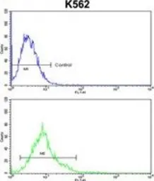 Anti-ALDH18A1 antibody, Internal used in Flow cytometry (FCM). GTX80929