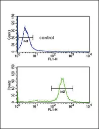 Anti-CD32a antibody, C-term used in Flow cytometry (FCM). GTX80944