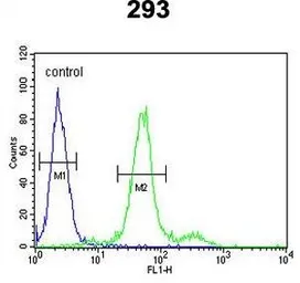 Anti-COL18A1 antibody, N-term used in Flow cytometry (FCM). GTX80984