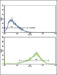 Anti-AP2A2 antibody, Internal used in Flow cytometry (FCM). GTX81179