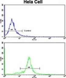 Anti-GOLPH3 antibody, N-term used in Flow cytometry (FCM). GTX81443