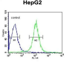 Anti-TMPRSS2 antibody, Internal used in Flow cytometry (FCM). GTX81494