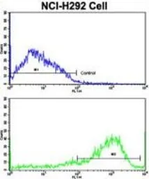 Anti-Interferon gamma Receptor 2 antibody, C-term used in Flow cytometry (FCM). GTX81601