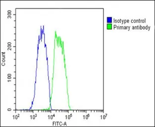 Anti-COMP antibody, Internal used in Flow cytometry (FCM). GTX81660