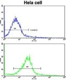 Anti-CUEDC2 antibody, C-term used in Flow cytometry (FCM). GTX81709