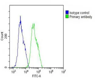 Anti-Wnt4 antibody, Internal used in Flow cytometry (FCM). GTX81775