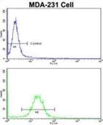 Anti-Emerin antibody, C-term used in Flow cytometry (FCM). GTX81870
