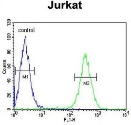 Anti-hnRNP L antibody, Internal used in Flow cytometry (FCM). GTX81941