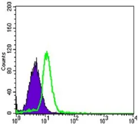 Anti-OPG antibody [5G2] used in Flow cytometry (FCM). GTX82749