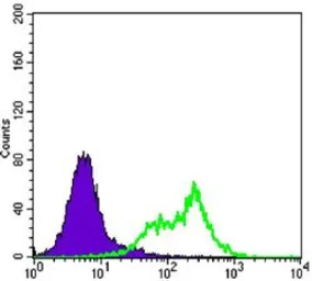 Anti-RICTOR antibody [7B3] used in Flow cytometry (FCM). GTX82789