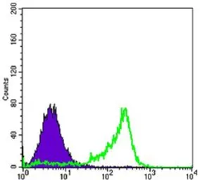 Anti-PAX6 antibody [1C8] used in Flow cytometry (FCM). GTX82816