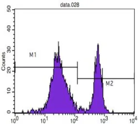 Anti-CD4 antibody [B486A1] used in Flow cytometry (FCM). GTX83297