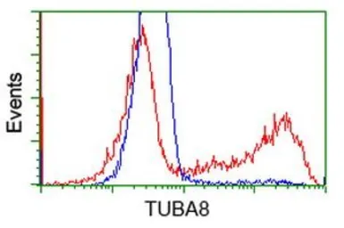 Anti-alpha Tubulin 8 antibody [2C2] used in Flow cytometry (FCM). GTX83461