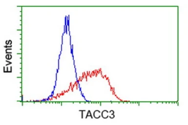 Anti-TACC3 antibody [1E11] used in Flow cytometry (FCM). GTX83529
