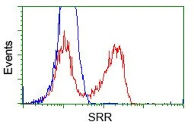Anti-Serine racemase antibody [9E8] used in Flow cytometry (FCM). GTX83567