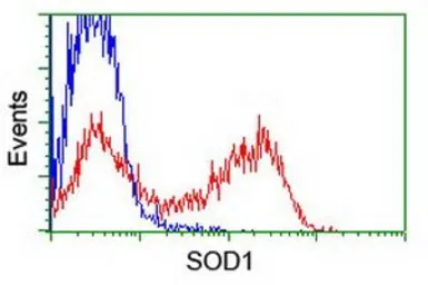 Anti-SOD1 antibody [8B10] used in Flow cytometry (FCM). GTX83592