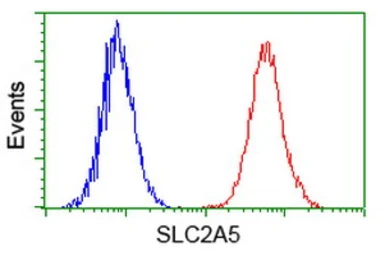 Anti-GLUT5 antibody [20E1] used in Flow cytometry (FCM). GTX83631