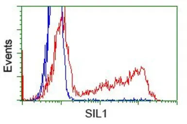 Anti-SIL1 antibody [3E3] used in Flow cytometry (FCM). GTX83642