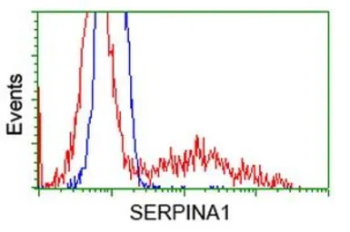 Anti-alpha 1 Antitrypsin antibody [9A1] used in Flow cytometry (FCM). GTX83666
