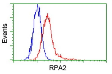 Anti-RPA32 antibody [7C12] used in Flow cytometry (FCM). GTX83695