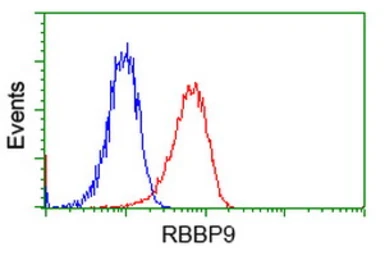 Anti-RBBP9 antibody [4G3] used in Flow cytometry (FCM). GTX83717